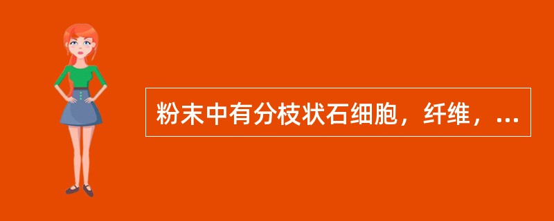 粉末中有分枝状石细胞，纤维，油细胞的药材是