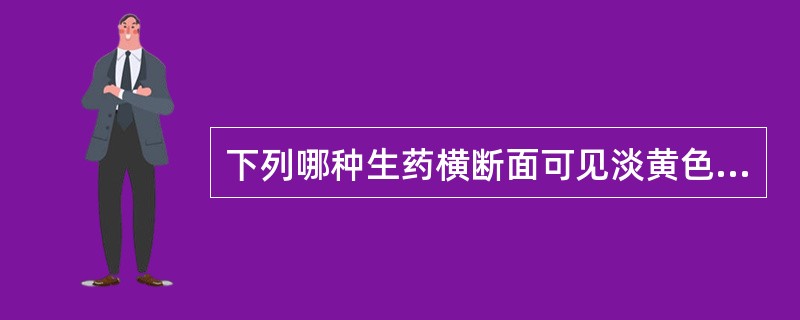 下列哪种生药横断面可见淡黄色小点排成数轮同心环