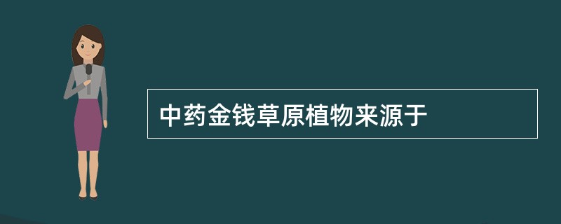 中药金钱草原植物来源于