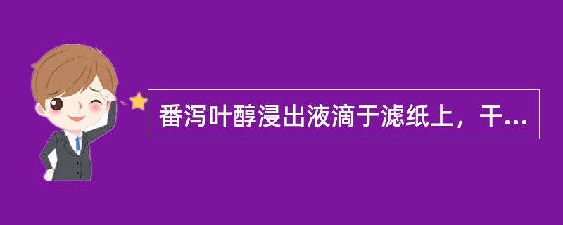 番泻叶醇浸出液滴于滤纸上，干后置紫外灯下观察，显