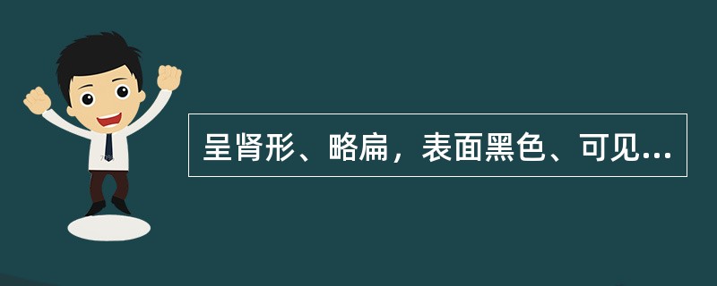 呈肾形、略扁，表面黑色、可见细微网状皱纹的果实类药材是