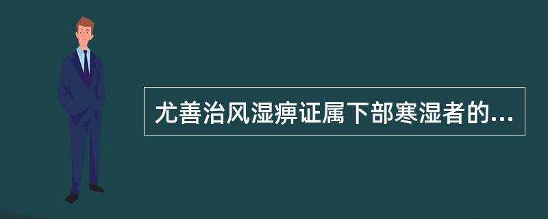 尤善治风湿痹证属下部寒湿者的药物是