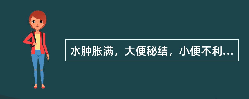 水肿胀满，大便秘结，小便不利，首选的药物是