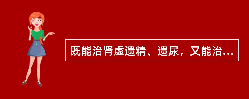 既能治肾虚遗精、遗尿，又能治肾虚阳痿的药物是()