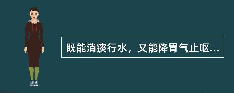 既能消痰行水，又能降胃气止呕的药是（）。