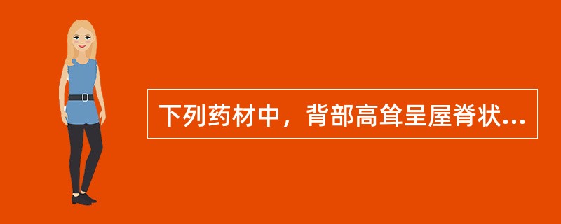 下列药材中，背部高耸呈屋脊状，俗称"剑脊"的为