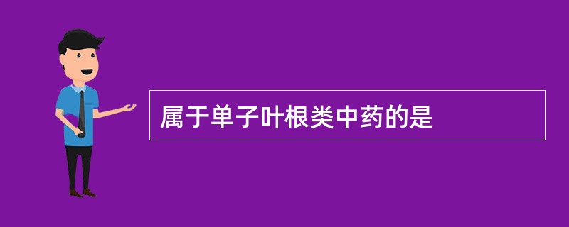 属于单子叶根类中药的是