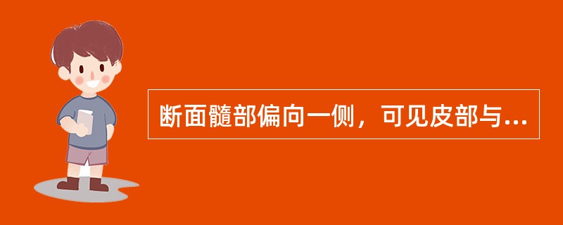 断面髓部偏向一侧，可见皮部与木部相间排列呈偏心形半圆形环的药材是