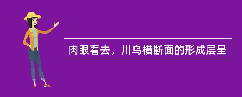 肉眼看去，川乌横断面的形成层呈