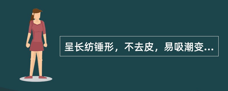 呈长纺锤形，不去皮，易吸潮变软，断面角质、中柱扁缩的药材是