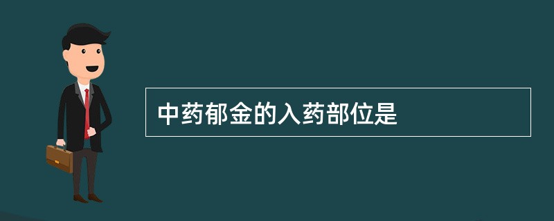 中药郁金的入药部位是