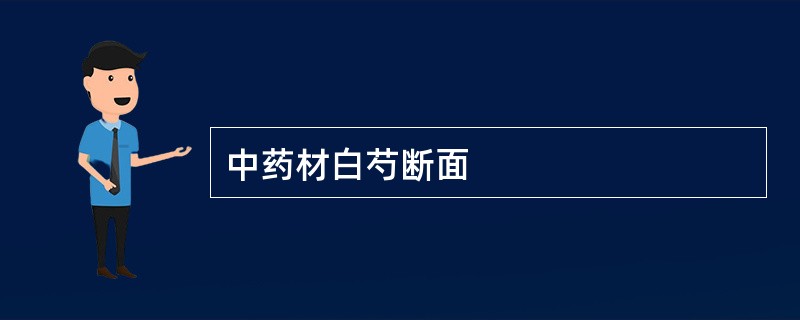 中药材白芍断面