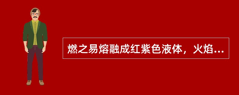 燃之易熔融成红紫色液体，火焰为蓝色，并生成黄白色烟，有强烈蒜臭气的药材是（）。