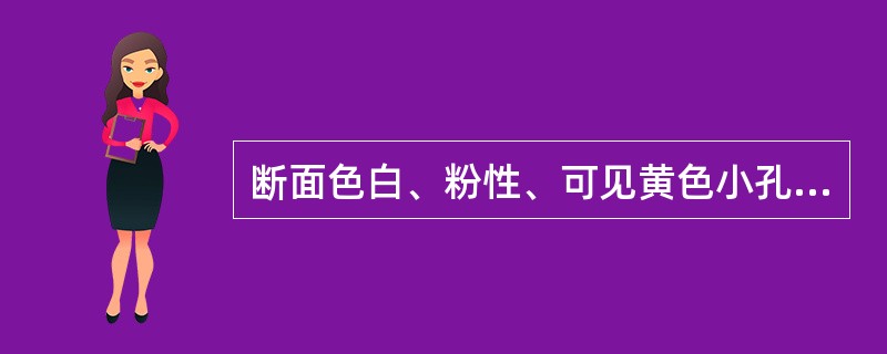 断面色白、粉性、可见黄色小孔，纵剖面可见黄色筋脉纹的药材是