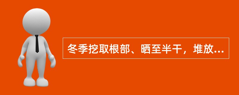 冬季挖取根部、晒至半干，堆放发汗至内部变黑色的药材是