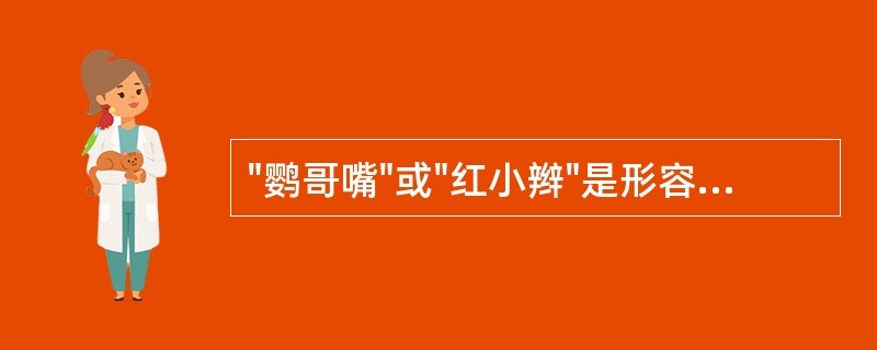 "鹦哥嘴"或"红小辫"是形容哪个药材的性状鉴别特征