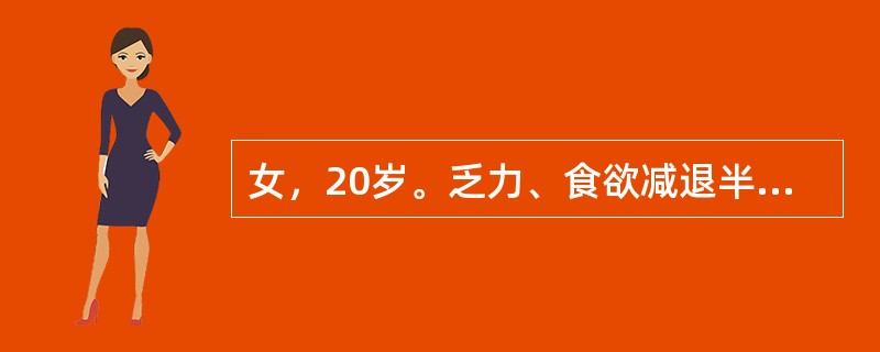 女，20岁。乏力、食欲减退半年。骨髓象示增生明显活跃，红细胞系统明显增生，幼红细胞40%，细胞体积增大，染色质疏松，细胞质量丰富，细胞核发育落后于细胞质。最可能的病因是