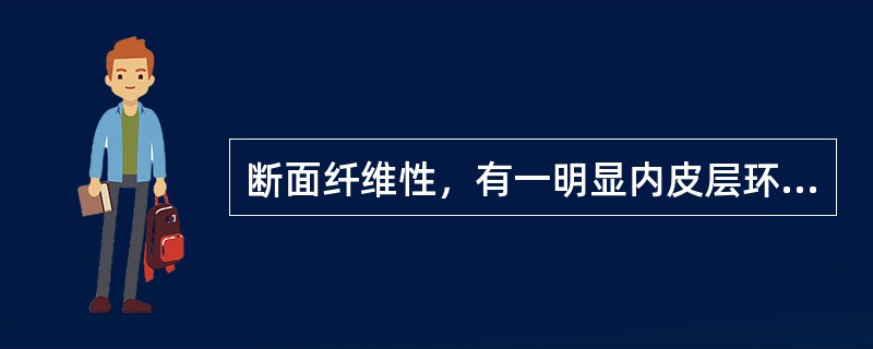 断面纤维性，有一明显内皮层环纹及多数棕色油点散在的药材为