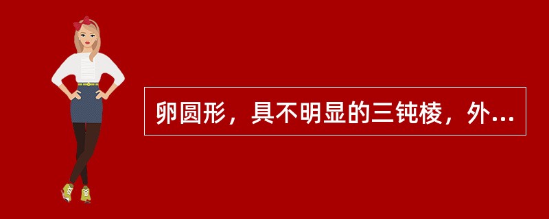 卵圆形，具不明显的三钝棱，外表深棕色，有网状突起的纹理及密生短钝软刺的药材是（）。