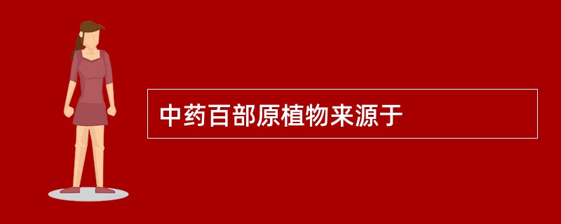 中药百部原植物来源于