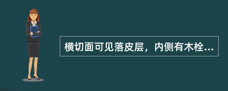 横切面可见落皮层，内侧有木栓组织数个层带，韧皮部有5～7层石细胞环带，并可见胶丝团块的药材是