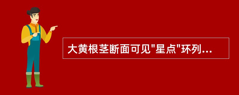 大黄根茎断面可见"星点"环列或散列，分布于