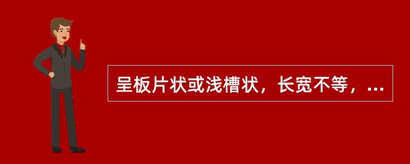 呈板片状或浅槽状，长宽不等，外表面黄棕色或黄褐色，较平坦，皮孔横生，内表面暗黄色或棕黄色，具细密的纵棱纹。体轻，质较硬。断面深黄色，气微，味苦，嚼之有黏性，可使唾液染成黄色，该药材为（）。