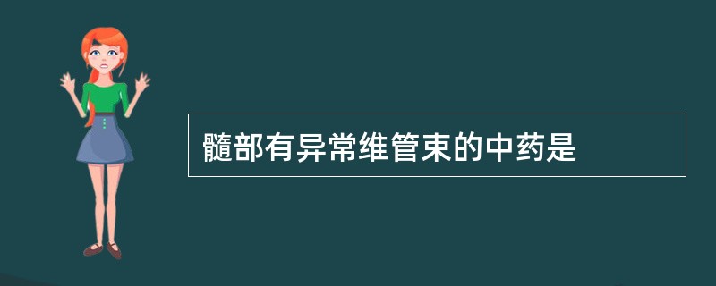 髓部有异常维管束的中药是