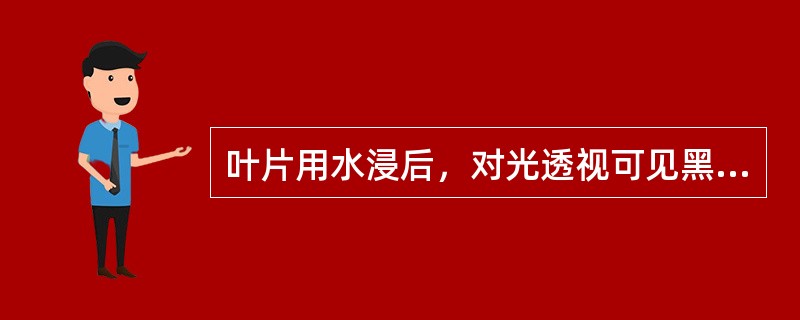 叶片用水浸后，对光透视可见黑色或褐色条纹的药材是（）。