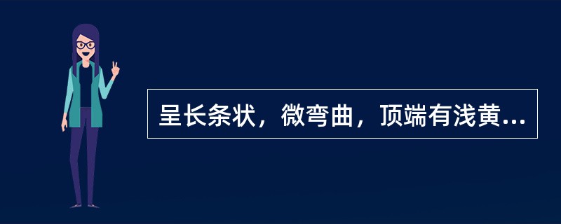 呈长条状，微弯曲，顶端有浅黄色的叶痕及茎痕，习称"金包头"；上面有一凹沟，具环状节，节上密生黄棕色的残存叶基，有凹陷或突起的点状根痕。质硬，断面黄白色。味微甜，略苦，嚼之带黏性，该