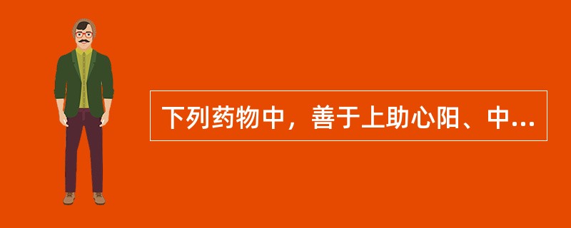 下列药物中，善于上助心阳、中温脾阳、下补肾阳的药物是