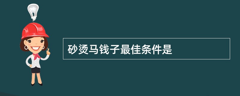 砂烫马钱子最佳条件是