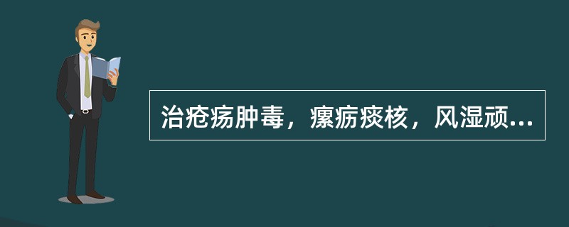 治疮疡肿毒，瘰疬痰核，风湿顽痹，可选用()