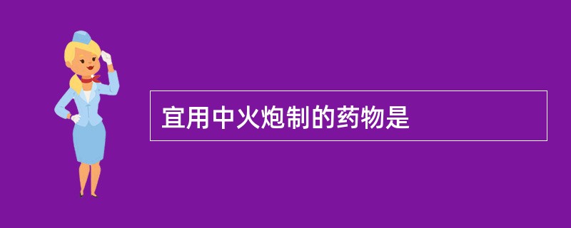 宜用中火炮制的药物是