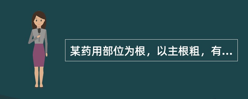 某药用部位为根，以主根粗，有支根，油润，外皮色黄棕，断面色黄白，气味浓郁者为佳。具有多数类圆形油室（分泌腔），其挥发油主要为蒿本内酯及正丁烯基酰内酯。该药材的主要产地有