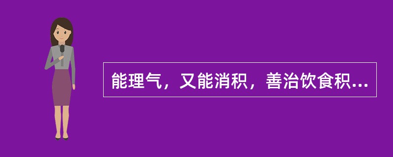 能理气，又能消积，善治饮食积滞脘、腹胀痛的药物是