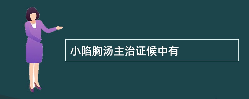 小陷胸汤主治证候中有