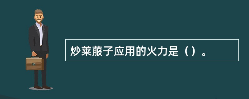 炒莱菔子应用的火力是（）。