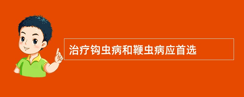 治疗钩虫病和鞭虫病应首选