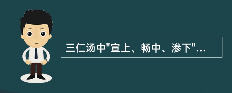 三仁汤中"宣上、畅中、渗下"的代表药物分别是