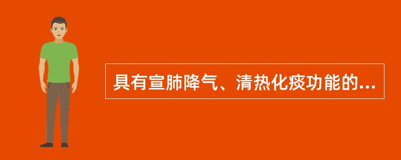 具有宣肺降气、清热化痰功能的方剂是（）。