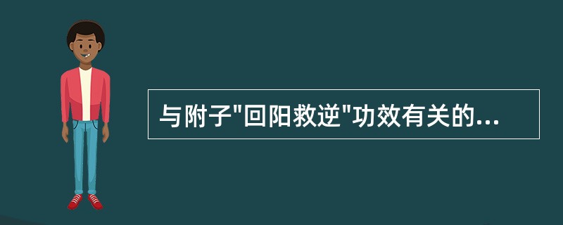 与附子"回阳救逆"功效有关的药理作用是（）。