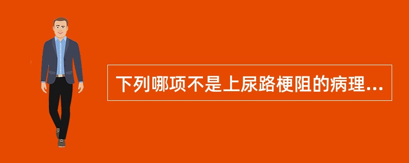 下列哪项不是上尿路梗阻的病理生理变化