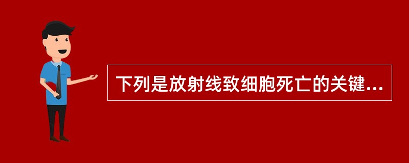 下列是放射线致细胞死亡的关键损伤为（）