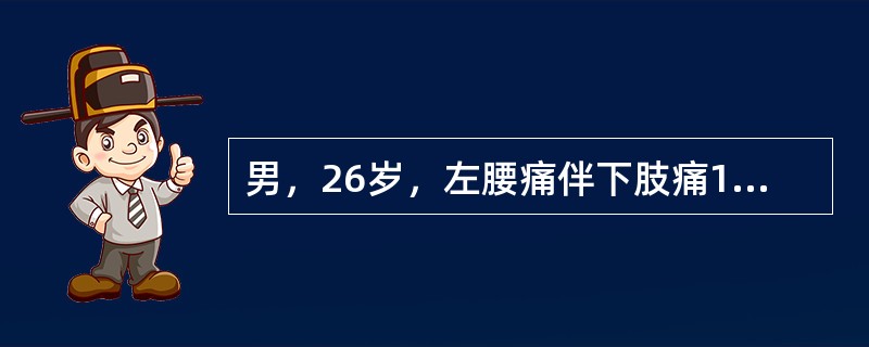 男，26岁，左腰痛伴下肢痛1个月加重5天，不伴下肢麻木、乏力，X线平片示腰椎曲度变直，轻度退行性改变。根据病史首先应作的查体是(　　)。