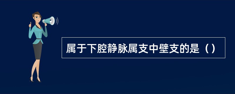 属于下腔静脉属支中壁支的是（）