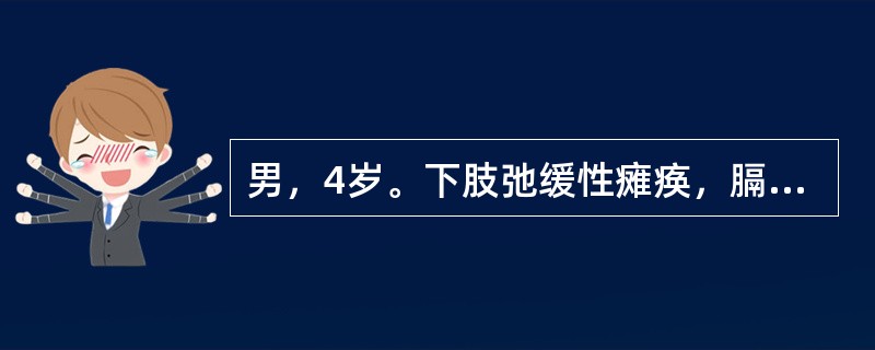 男，4岁。下肢弛缓性瘫痪，膈肌、肋间肌瘫痪，腱反射消失，呼吸浅速，声音低微，咳嗽无力，确诊为脊髓灰质炎。主要的病变部位在 ( )