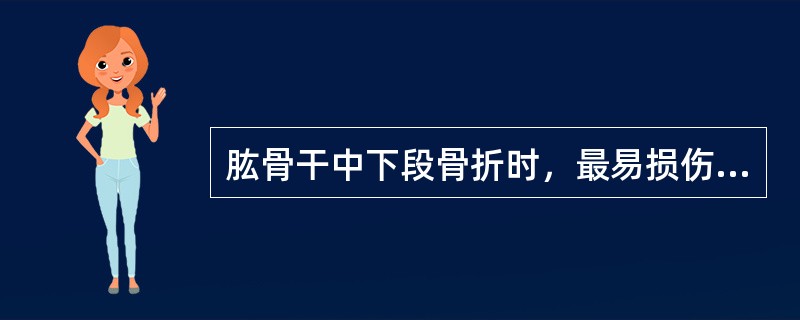 肱骨干中下段骨折时，最易损伤的神经是（）