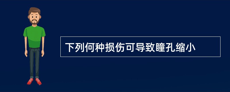 下列何种损伤可导致瞳孔缩小