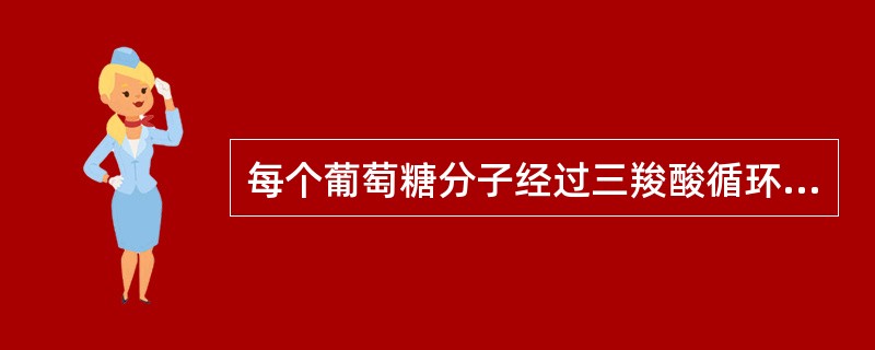 每个葡萄糖分子经过三羧酸循环实现有氧氧化，并产生